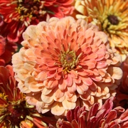 Kategoriename Kategoriename